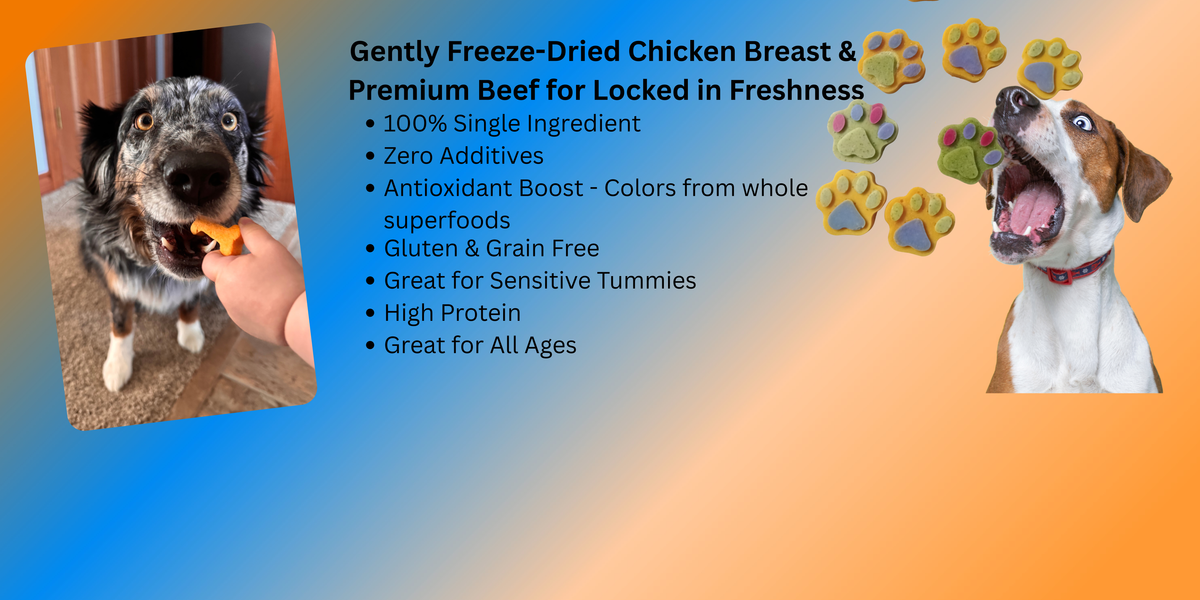 Freeze-Dried Beef Dog Treats Naturally Colored 2.0 oz (56.6 g)